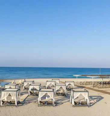 Alarcha Hotels & Resorts Genel Görünüm